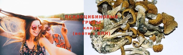 первитин Кодинск