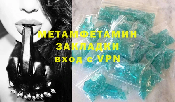 прущие грибы Струнино