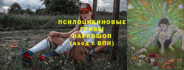 стаф Козельск