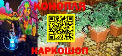 ГАЛЛЮЦИНОГЕННЫЕ ГРИБЫ Обь