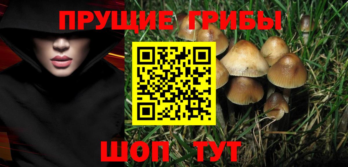 Невинномысск  Псилоцибиновые грибы Magic Shrooms  Псилоцибиновые грибы мухоморы  Вход с VPN 