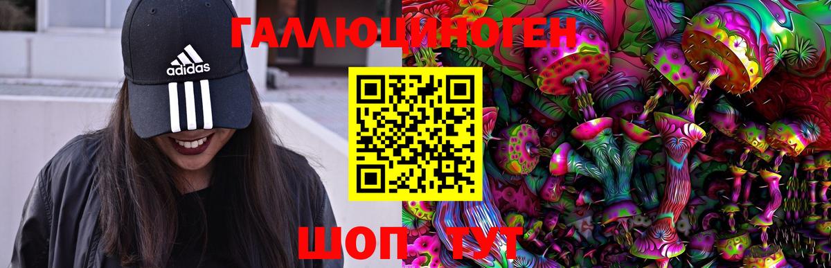 Псилоцибиновые грибы мицелий  Галлюциногенные грибы Cubensis  Невинномысск 