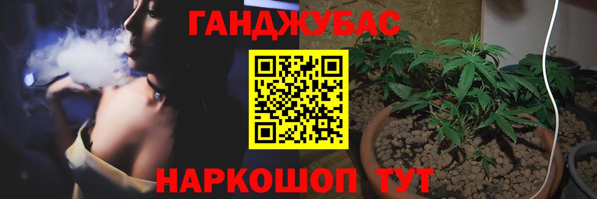 Бошки марихуана план  Канабис семена  Невинномысск  Вход с VPN  Конопля планчик  Шишки марихуана гибрид 